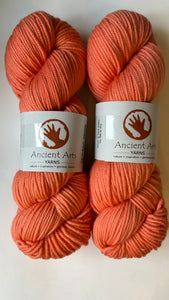Coral Reef - DK- Ancient Arts Yarns