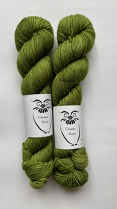 Little Green Apples - Worsted - Chester Knits Yarn