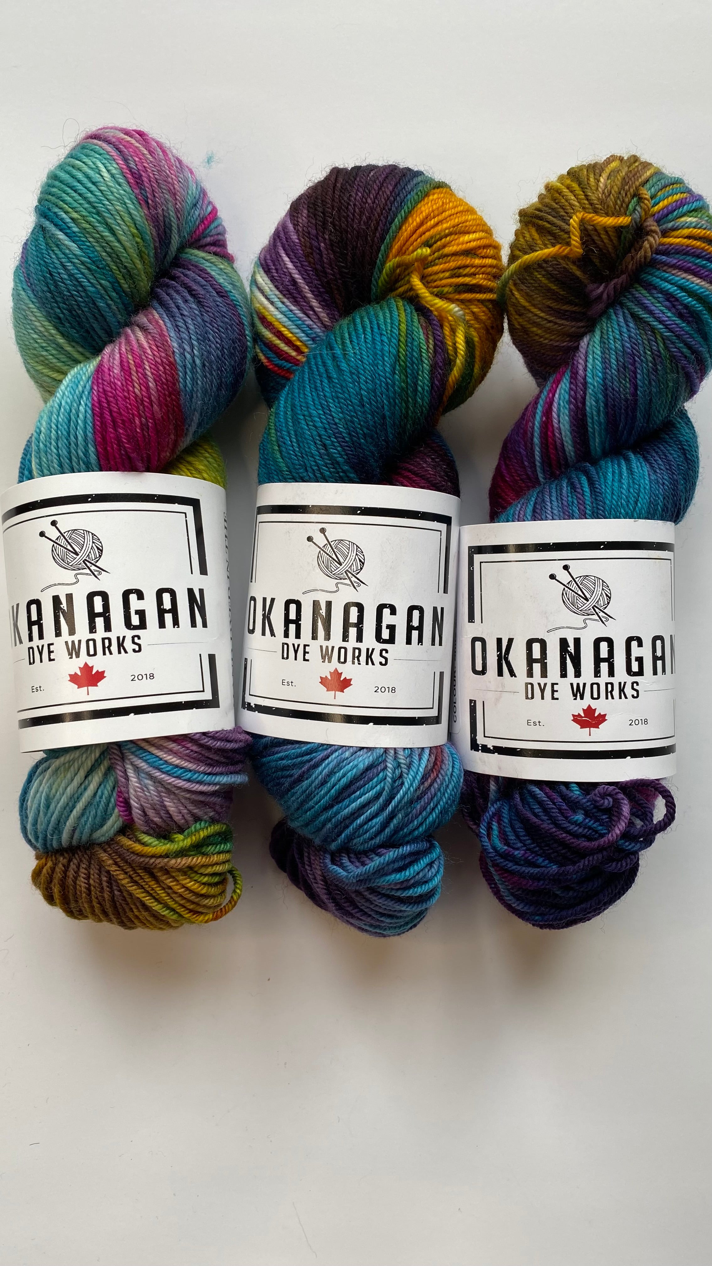 Shits and Giggles - Worsted - Okanagan Dye Works