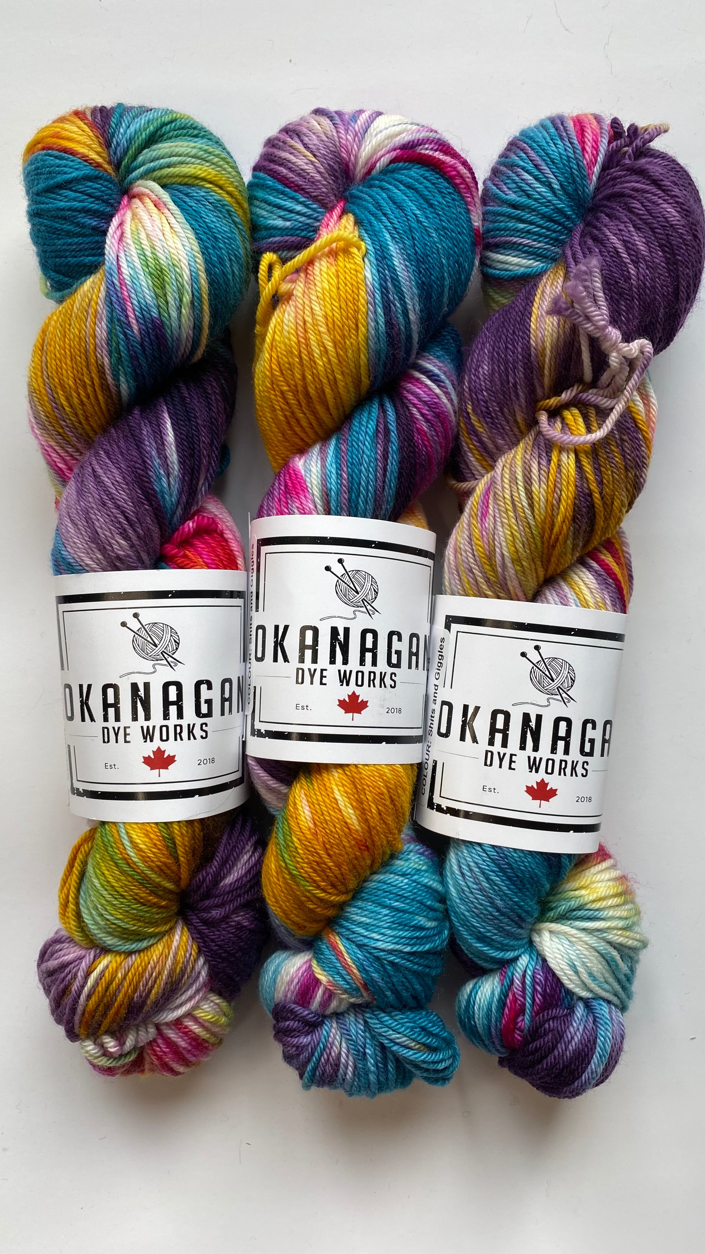 Shits and Giggles - DK - Okanagan Dye Works